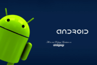 Android 15 update list