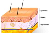 Skin care clinic