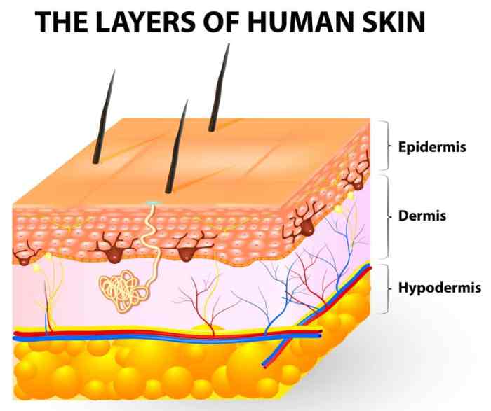Skin Health: Prevention and Treatment of Skin Breakdown Skin clinic near me