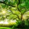 Natural skincare