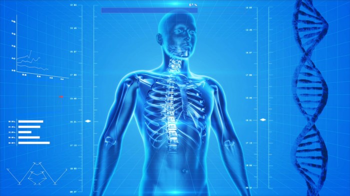 Anatomy High-tech Free Stock Photo - Public Domain Pictures Tech job market
