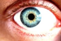 Eye cream for dark circles