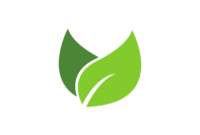 Eco-friendly fashion brands