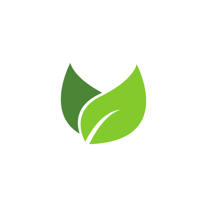 Eco-friendly fashion brands