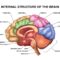 Brain-computer interface explained