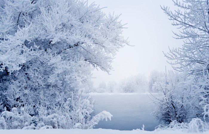 Winter fashion trends