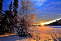 Winter skincare tips