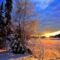 Winter skincare tips